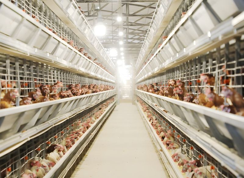 養殖設備對溫度的重要性